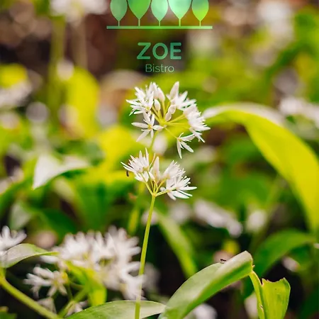 Zoe Bistro&accommodation 4* Kilrush