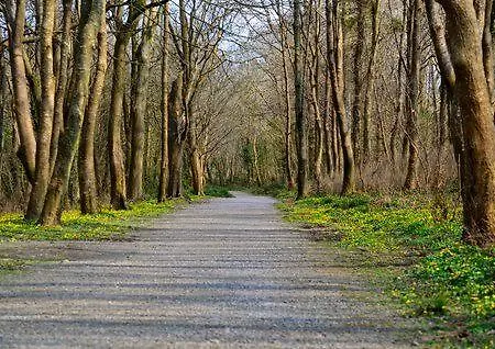 Zoe Bistro & Bed & Breakfast 3*