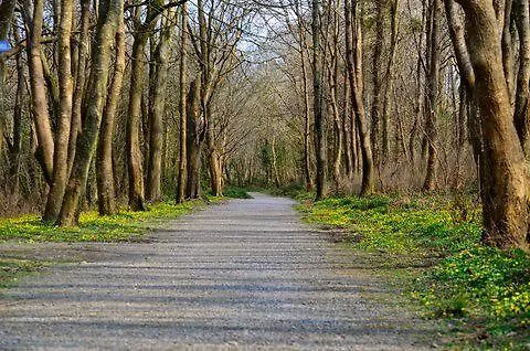 Zoe Bistro & Panzió 3*